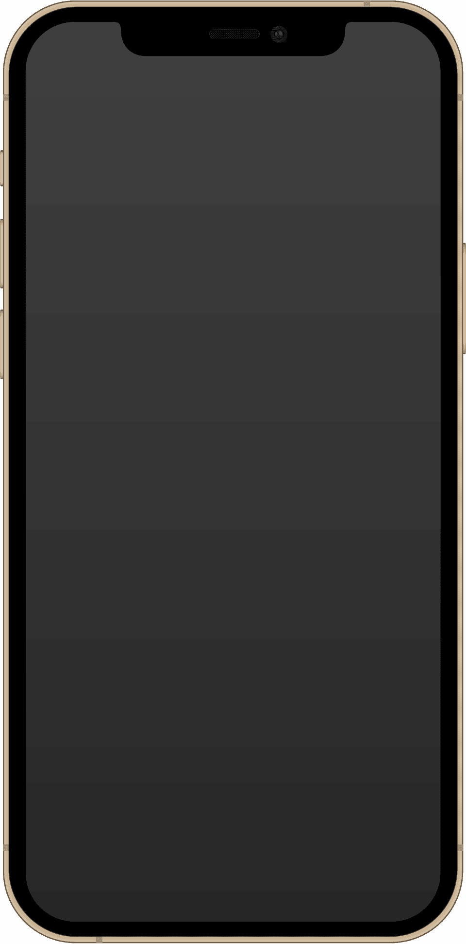 iPhone 12 Pro 512GB