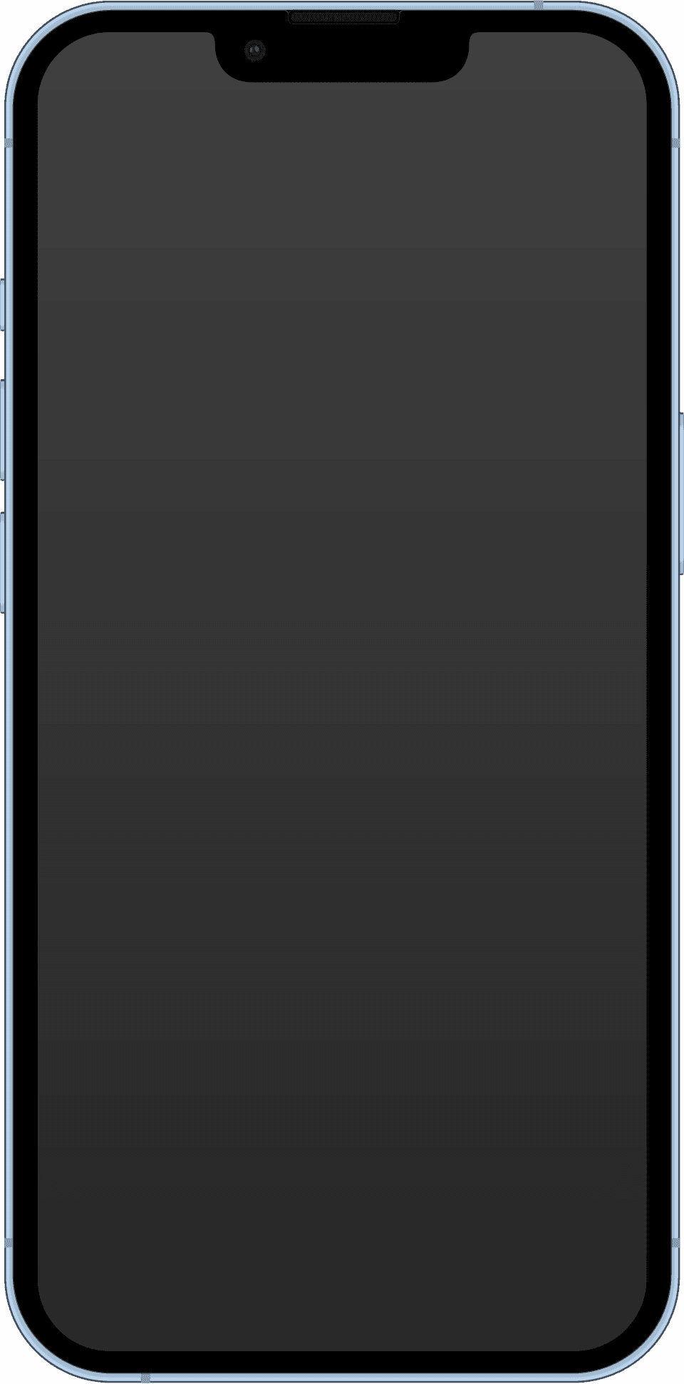 iPhone 13 Pro Max 256GB