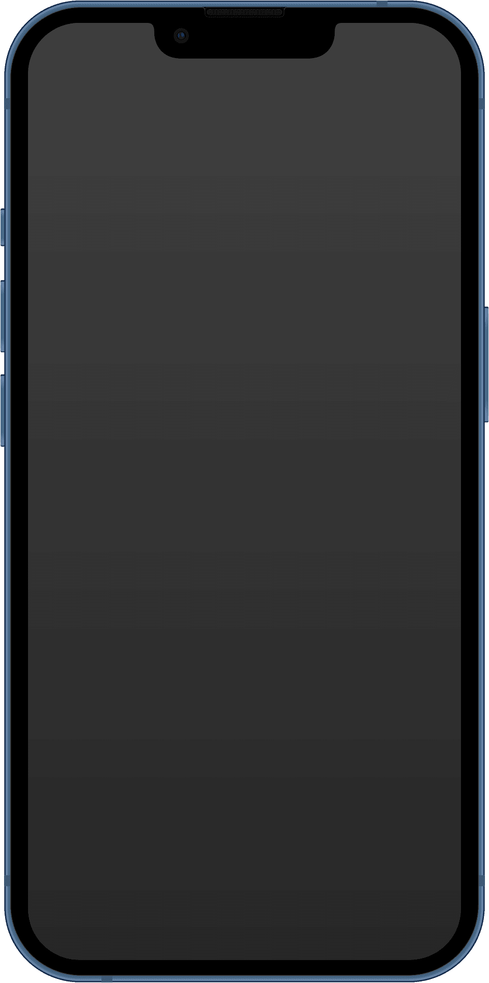 iPhone 13 256GB